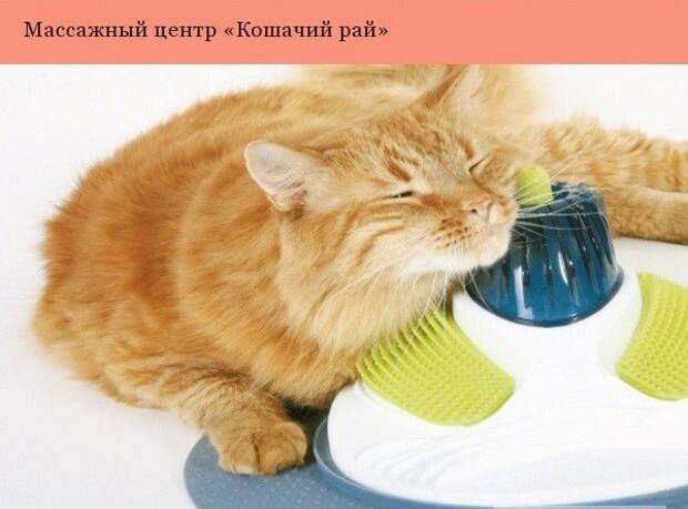 Дизайнерские штуки для котеек дизайн, котэ
