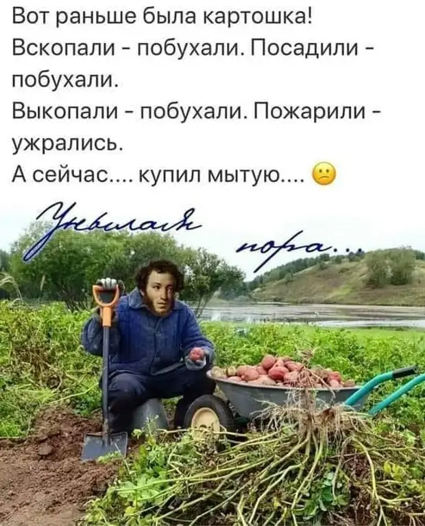 На кухне теща стряпает пельмени. К ней подходит маленький котенок...