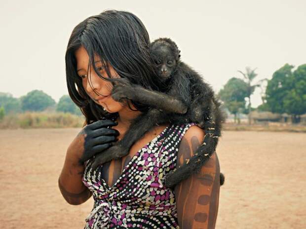 фотографии, природа, животные, national geographic