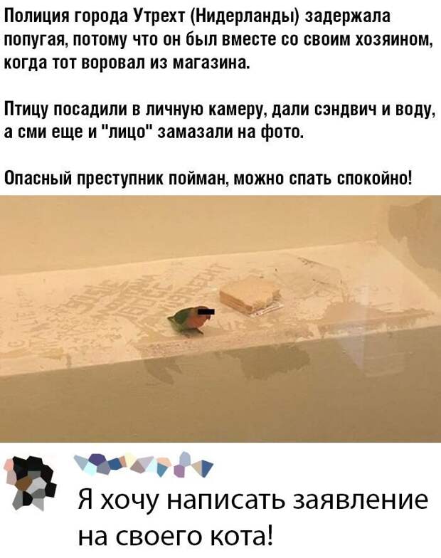 www.vsyako.net