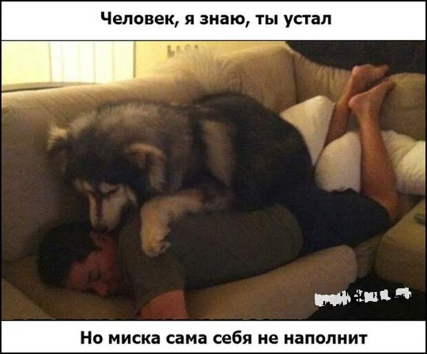 Прикольные картинки Прикольные картинки