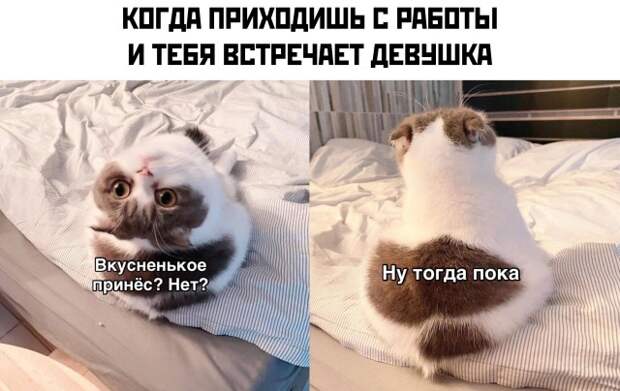 Смешные картинки 17 сентября 2021 года