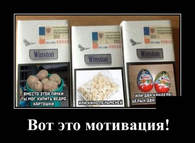 Демотиваторы (20 фото)