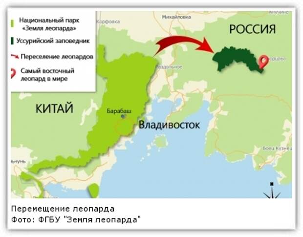 Фото: ФГБУ "Земля леопарда"