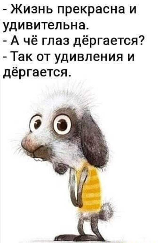 Подборка хороших прикольных картинок
