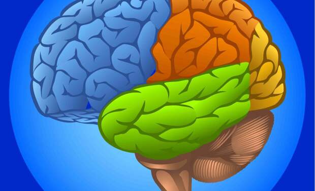 Проверь свой мозг: 5 визуальных иллюзий