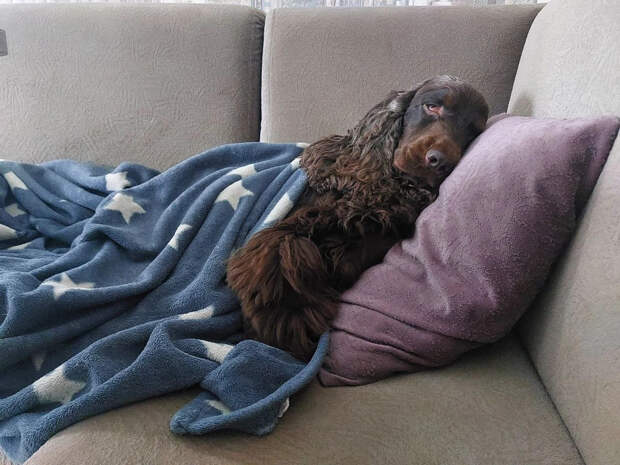 Несколько верных способов наладить сон: советы врача