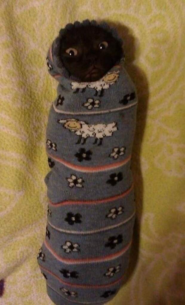 This one feels a little snug.
