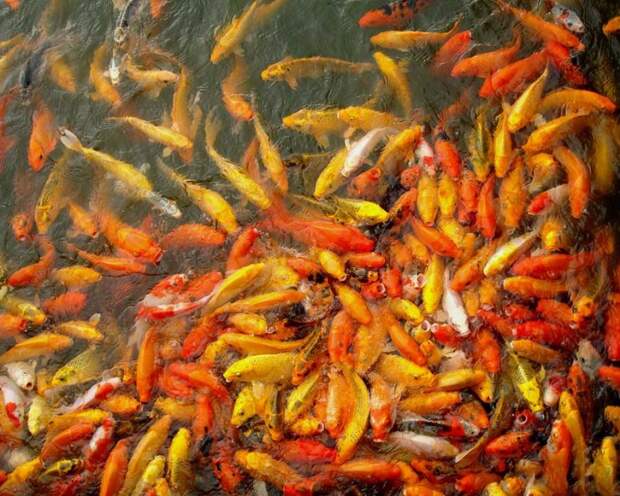 Примеры креативной фотографии