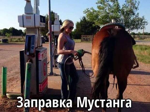 Подборка забавных фото и смешных картинок с надписью