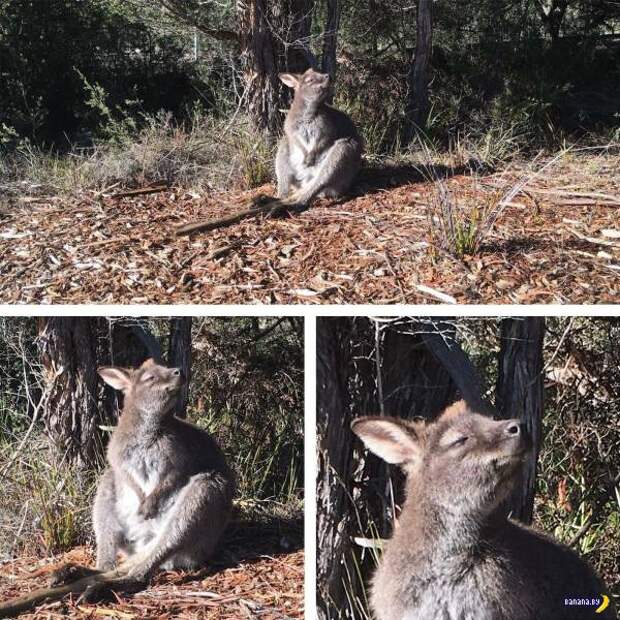 Прикольные картинки - 1899