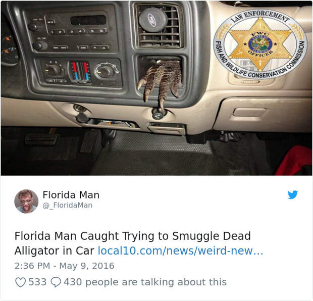 Florida-Man-Headings