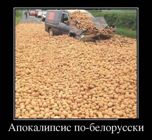 Демотиваторы №1019 (30 фото) Демотиваторы №1019 (30 фото)