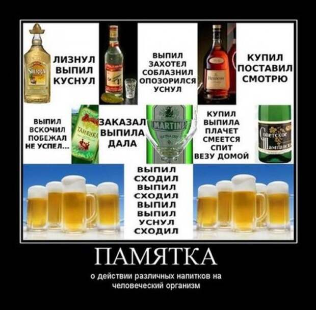 Убойные демотиваторы (24 шт)