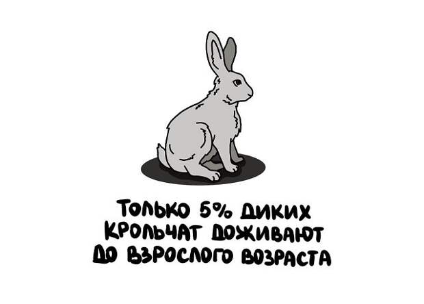 Интересные короткие факты на все случаи жизни