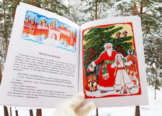 Путешествие #6. Дед Мороз