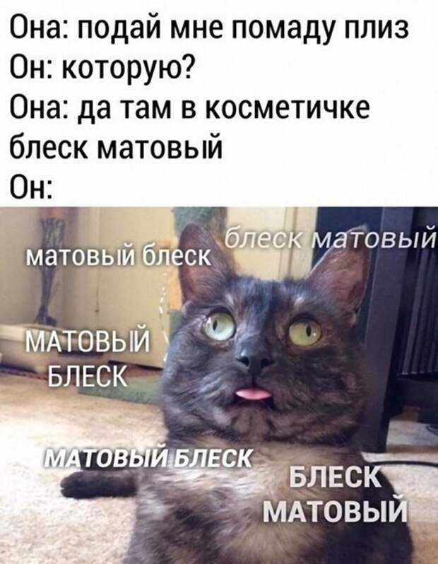Матовый блеск) Матовый блеск)