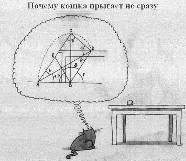 Ассорти II Ассорти II