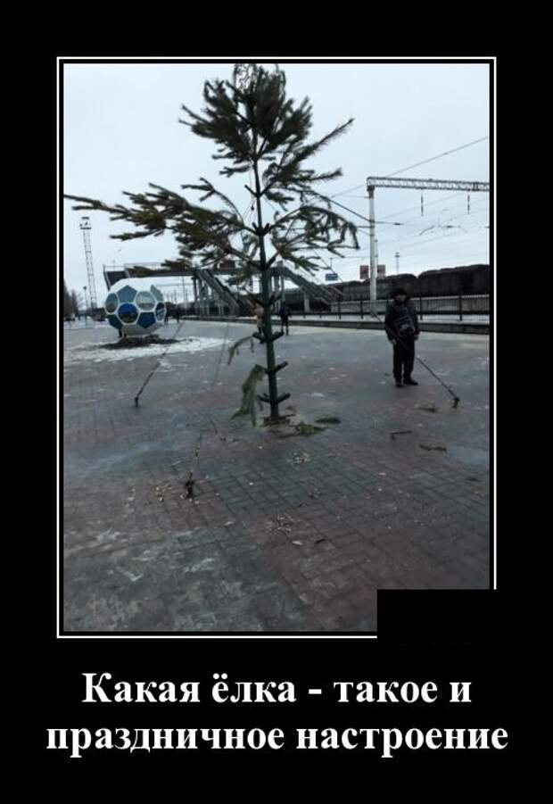 Демотиваторы (30 фото)