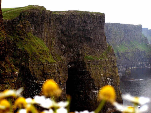 utesi-moher