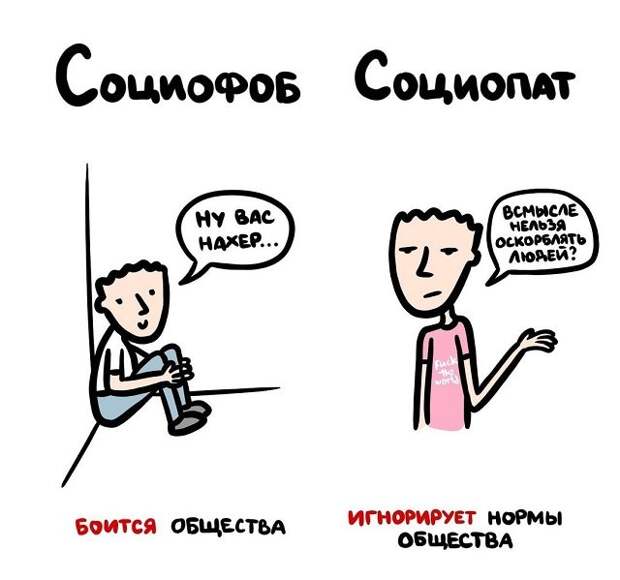 Полезные подсказки о вещах и понятиях, которые люди часто путают