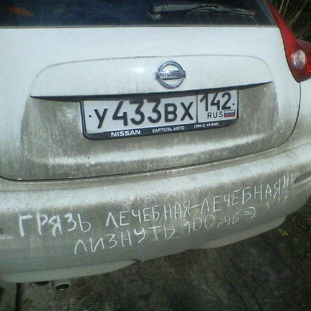181703_6_trinixy_ru.jpg