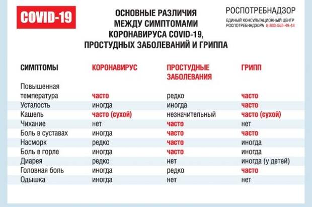 В Твери учатся отличать грипп от вируса