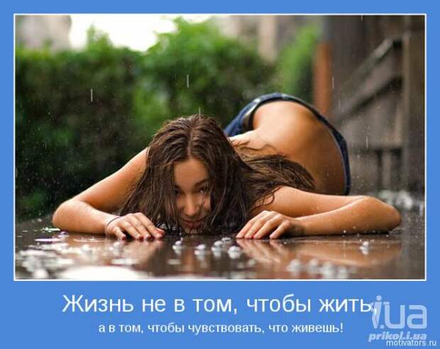 Похожее изображение