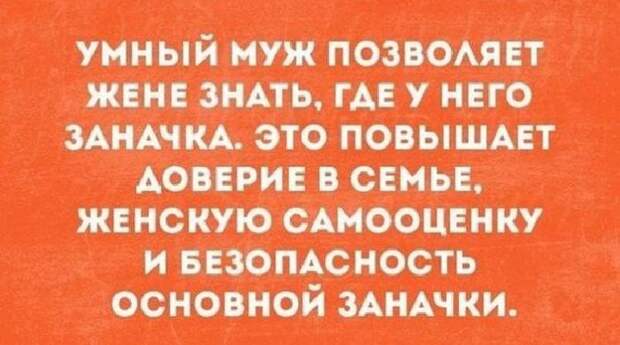 Подборка метких высказываний, которые подарят вам позитивный настрой
