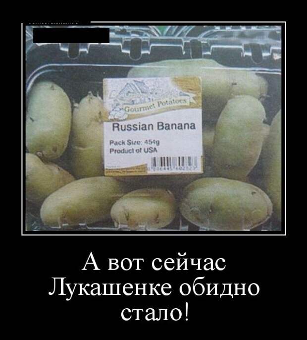 Демотиваторы (30 фото)
