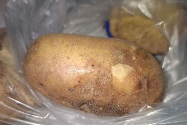 Россельхознадзор предотвратил ввоз 10 тонн зараженного картофеля из Китая в Забайкалье