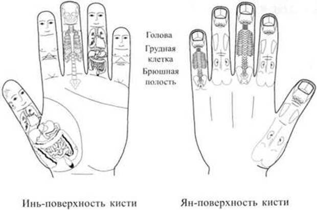 http://readr.ru/tmp_images/vu_pak_su_dzhok_semyanoterapiya_any2fbimgloader28.jpeg
