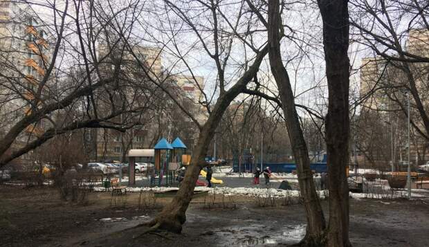Двор на улице Академика Скрябина, дом д. 26, корп. 1 сейчас.  Фото: пресс-служба проекта «Мой район»