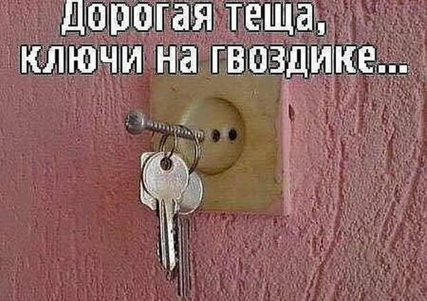 Лучшие юмористические картинки, которые подарят позитив на весь день