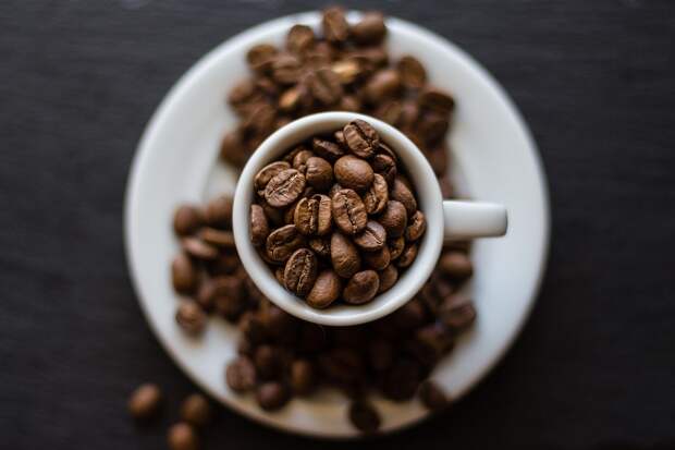 Эндокринолог Павлова посоветовала пить по три чашки кофе в день для долголетия