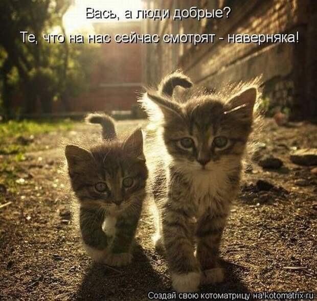 Мысли вслух :)