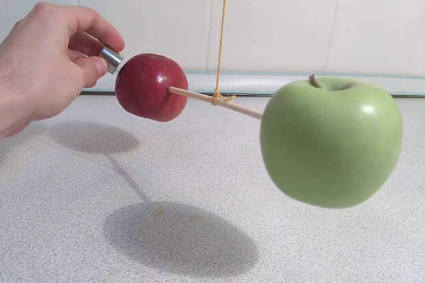 Подносим магнит к яблоку: можно ли таким образом найти внутри железо