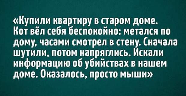 20 забавных историй от владельцев котов, чьи питомцы всегда вытворяют что-нибудь эдакое 20 забавных историй от владельцев котов, чьи питомцы всегда вытворяют что-нибудь эдакое