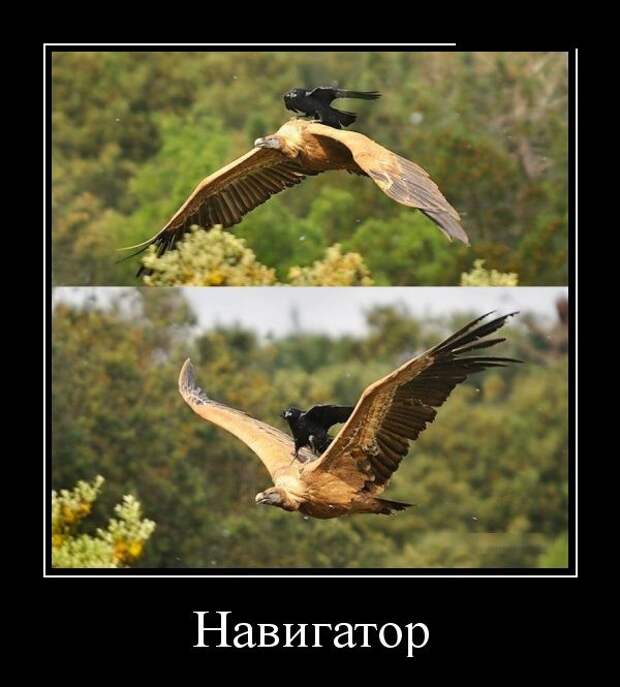 Демотиваторы (30 фото)