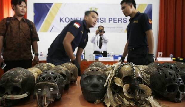 В Индонезии на таможне задержали необычную контрабанду в мире, контрабанда, люди, таможня, череп