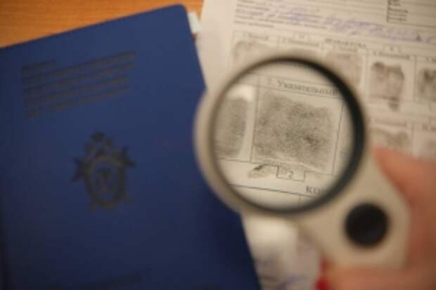 В Санкт-Петербурге задержан мужчина, подозреваемый в мошенничестве и легализации бюджетных денежных средств