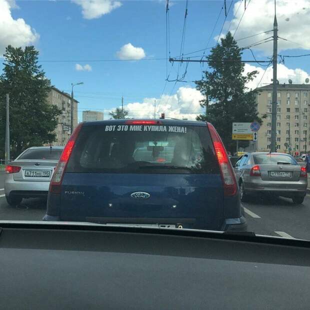 181703_3_trinixy_ru.jpg
