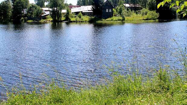 Полицейский погиб во время купания в пруду в подмосковной Балашихе