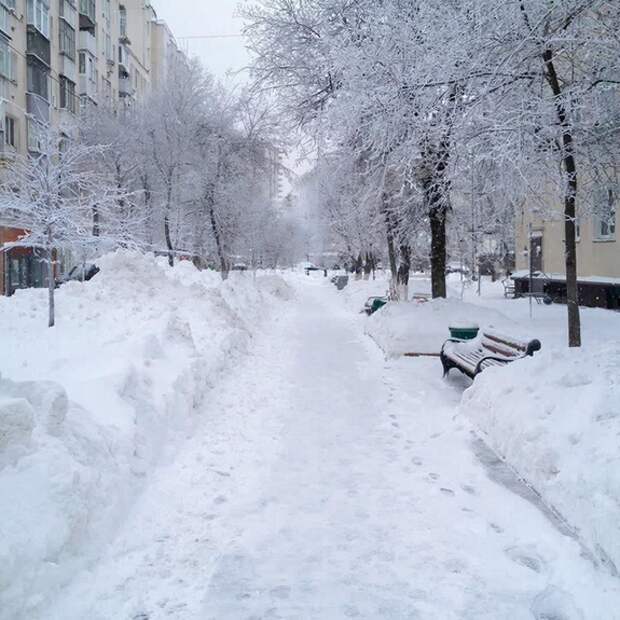 «Битва лопат с метелками»: пока мигранты из СНГ и Индии выясняют, кто ленивее, москвичи убирают снег сами