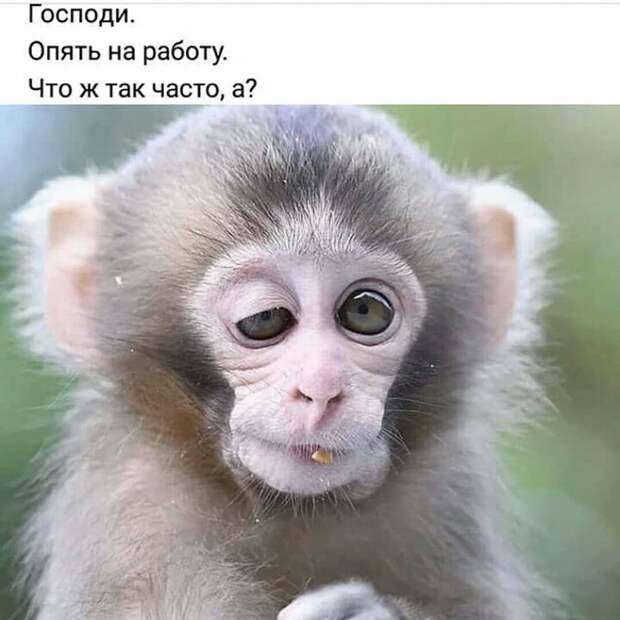 Подборка позитива в картинках!