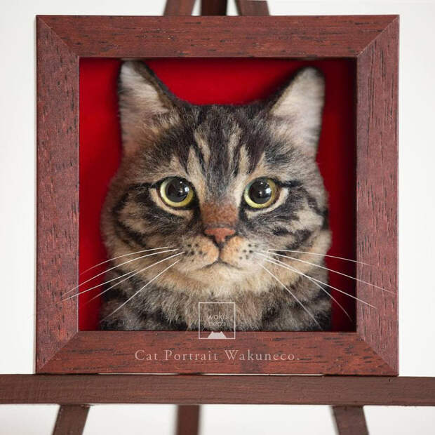 Реалистичные 3D-портреты кошек из шерсти