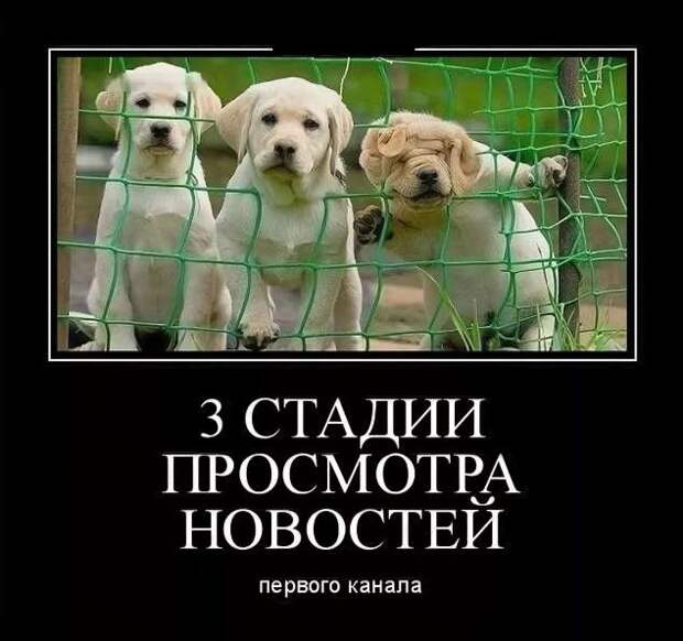 Демотиваторы. Подборка chert-poberi-dem-chert-poberi-dem-24040919052020-8 картинка chert-poberi-dem-24040919052020-8