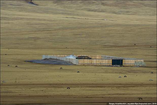 И последний вопрос: "Зачем в Монголии строят заборы?". Там же всё равно на десятки километров ни души... архитектура, барьер, забор, непреодолимый барьер, ограждения, прикол, экстерьер, юмор