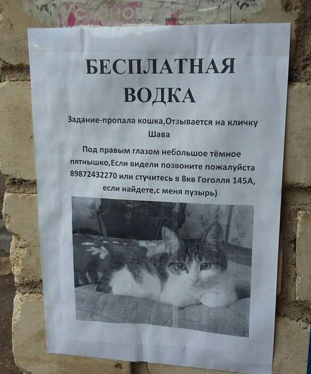 Находчивость, храбрость отвага и удача