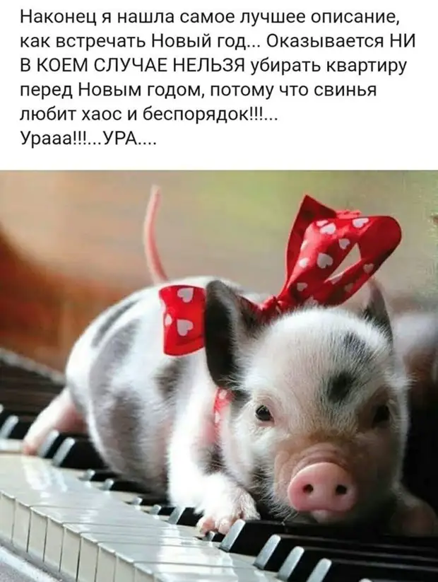 Если вам уже за тридцать и вы абсолютно ничего не добились в этой жизни — значит, вы честный и порядочный человек Если вам уже за тридцать и вы абсолютно ничего не добились в этой жизни — значит, вы честный и порядочный человек возьмут, Какой, самолёт, родился, слишком, каком, показывай, давай, даютНу, десять, Врешь, Двадцать, камере, тюремной, высокоВ, желудок, метит, особеннаяОбъявление, через, лежит